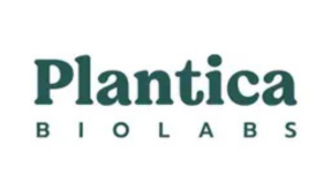 Coduri de reducere Plantica